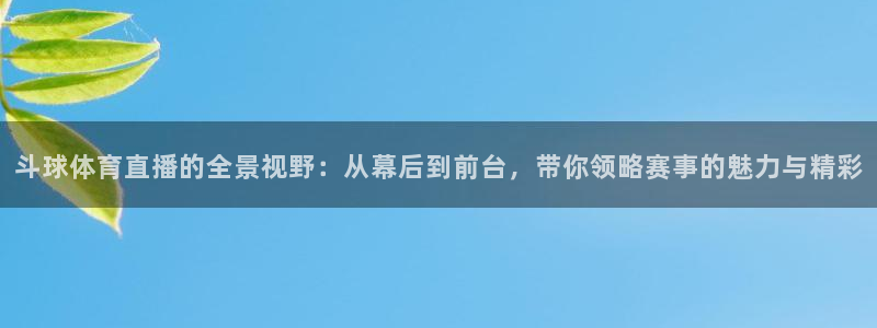 51视频在线直播nba：斗球体育直播的全景视野：从幕后到前台，带你领略赛事的魅力与精彩