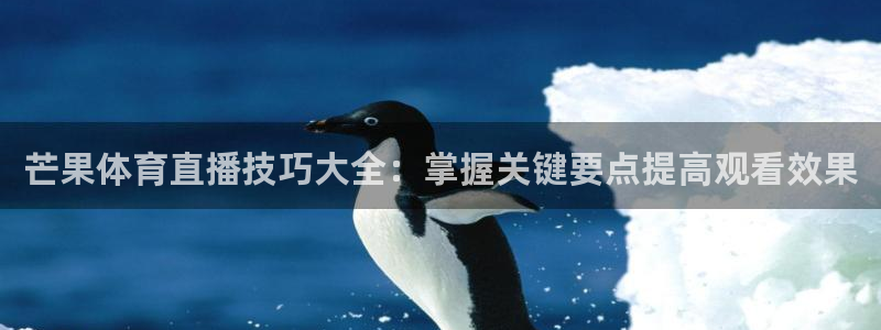 51视频在线直播nba：芒果体育直播技巧大全：掌握关键要点提高观看效果