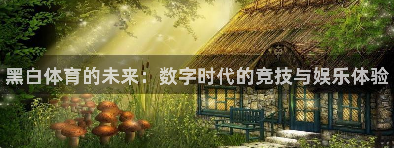 51视频在线直播nba：黑白体育的未来：数字时代的竞技与娱乐体验