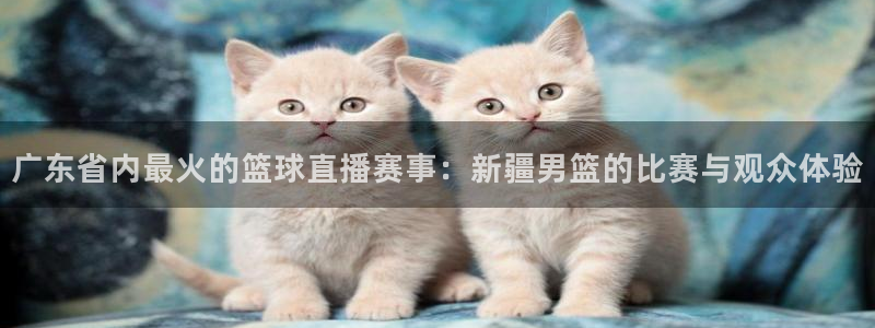 51视频在线直播nba：广东省内最火的篮球直播赛事：新疆男篮的比赛与观众体验