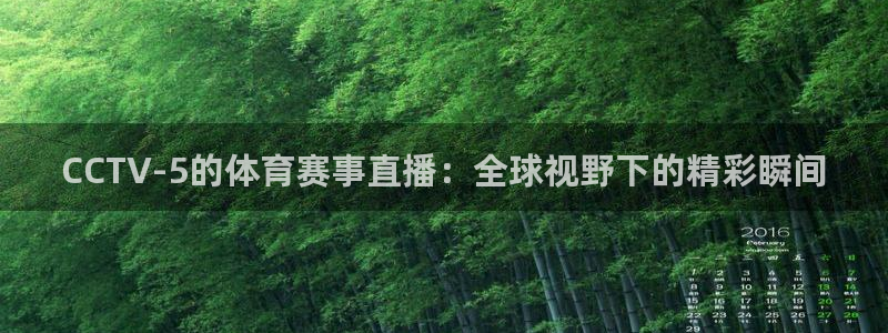 51视频在线直播nba：CCTV-5的体育赛事直播：全球视野下的精彩瞬间