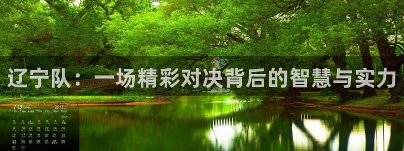 51视频在线直播nba：辽宁队：一场精彩对决背后的智慧与实力