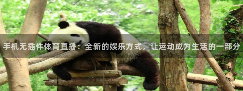 51视频在线直播nba：手机无插件体育直播：全新的娱乐方式，让运动成为生活的一部分