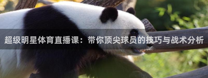 51视频在线直播nba：超级明星体育直播课：带你顶尖球员的技巧与战术分析