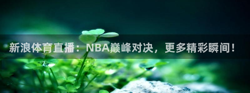 51视频在线直播nba：新浪体育直播：NBA巅峰对决，更多精彩瞬间！