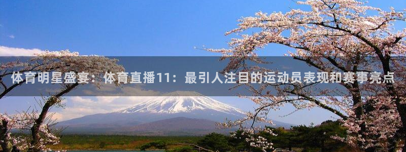 51视频在线直播nba