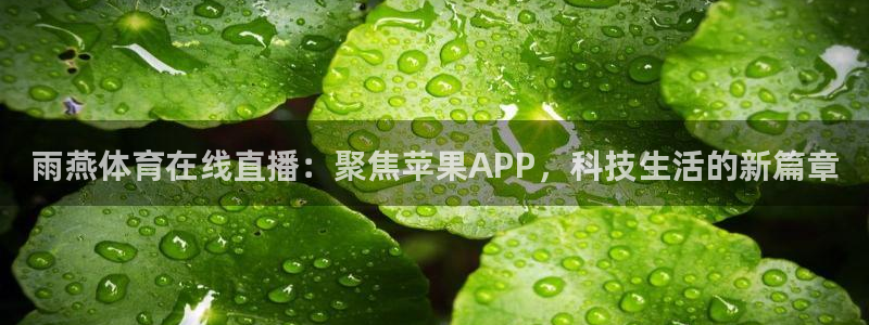 51视频在线直播nba：雨燕体育在线直播：聚焦苹果APP，科技生活的新篇章